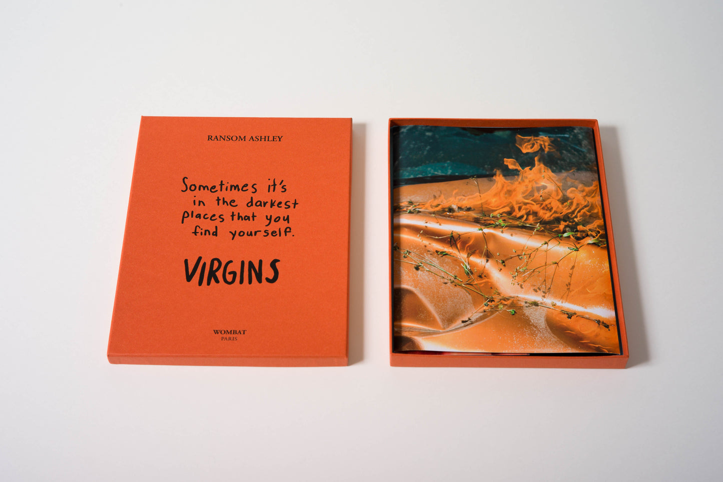No. 34 - Wombat - The Photography and Art Box
