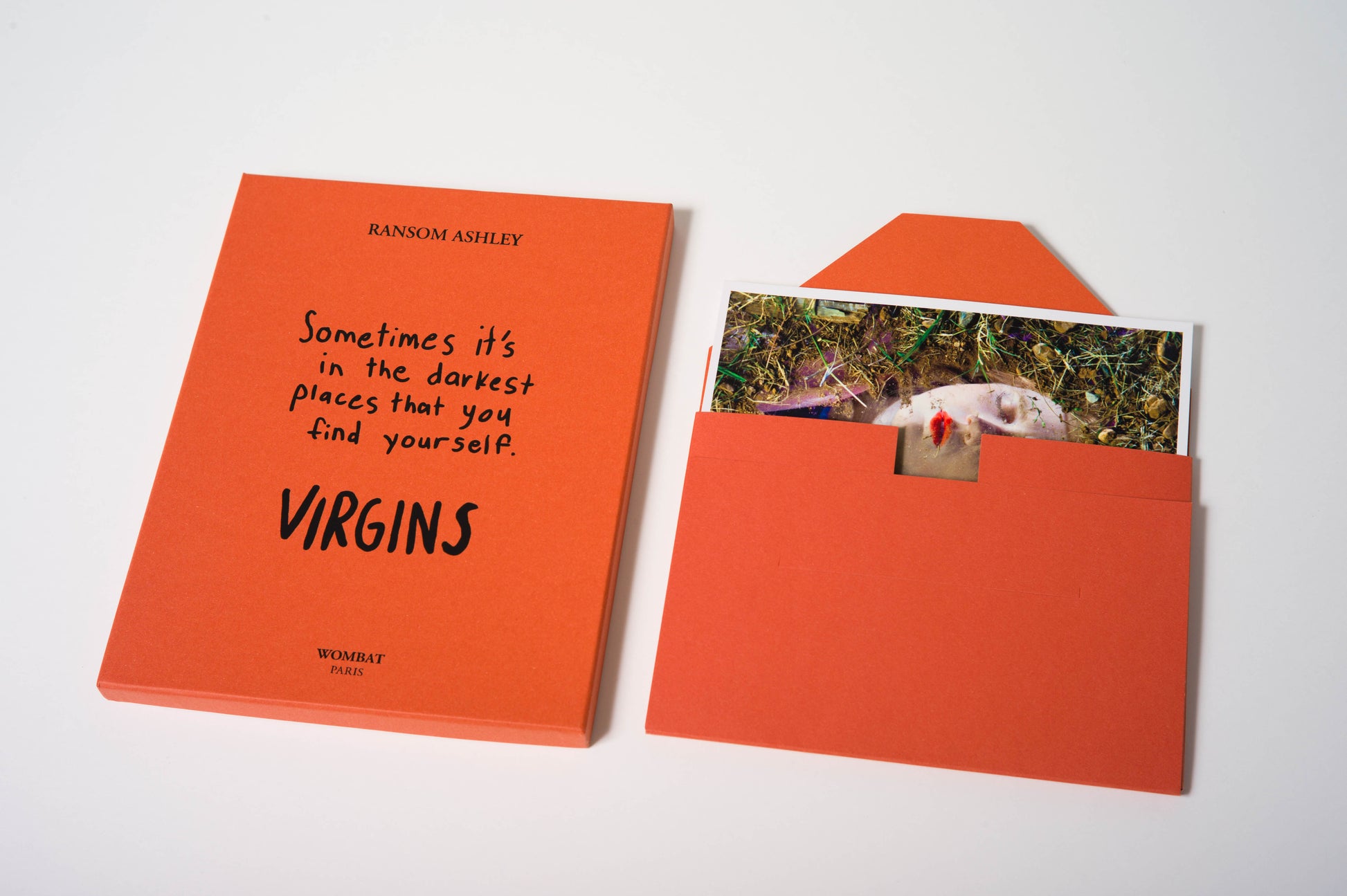 No. 34 - Wombat - The Photography and Art Box