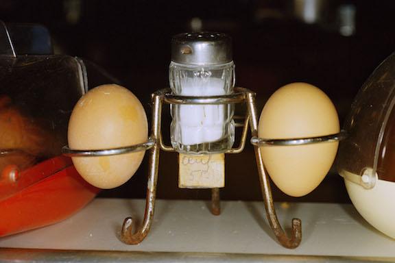 Portfolio No. 6 - Wombat - The Photography and Art Box