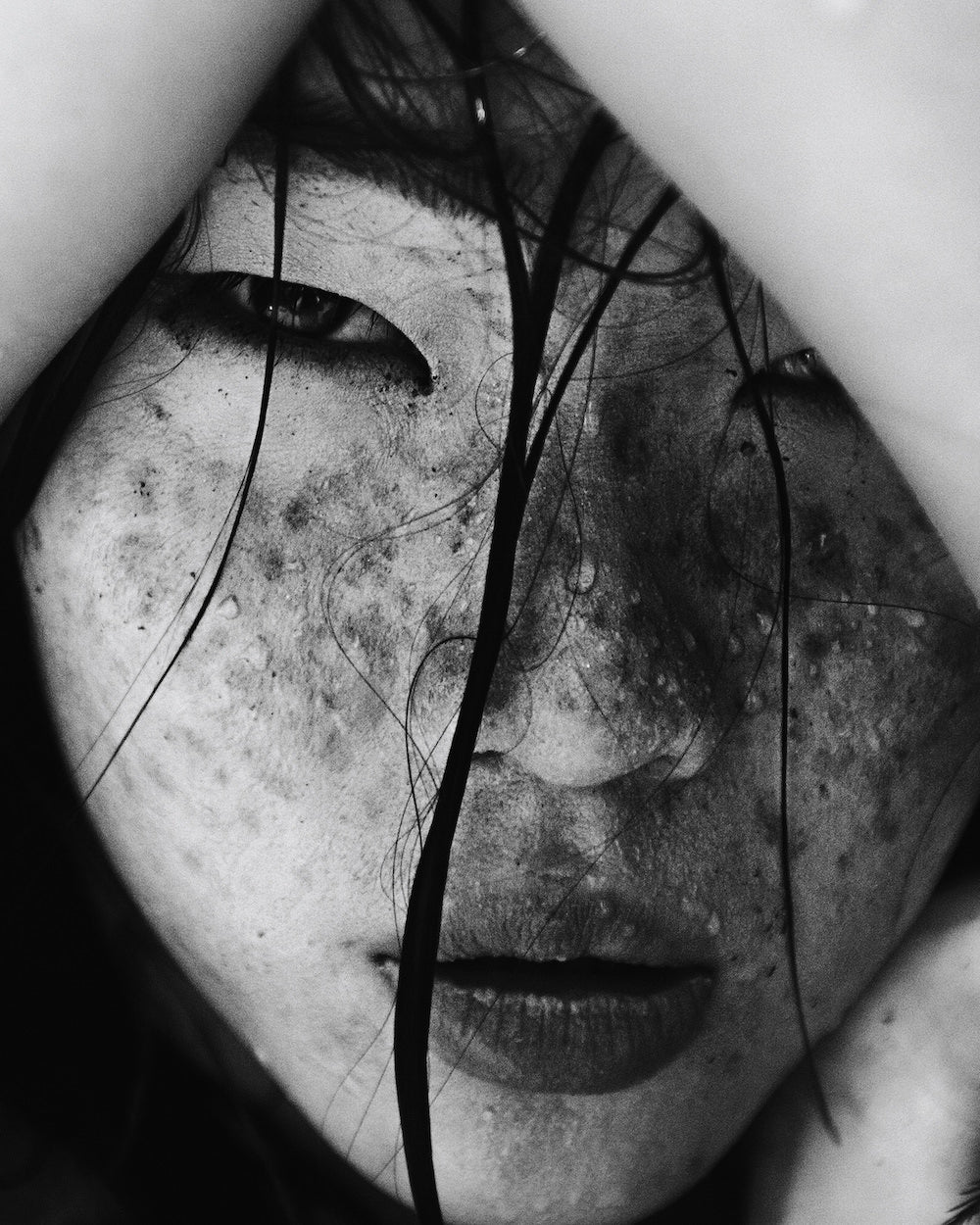 Zhong Lin - Édition signée