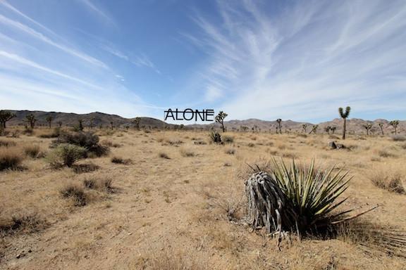Alone - Wombat - The Photography and Art Box