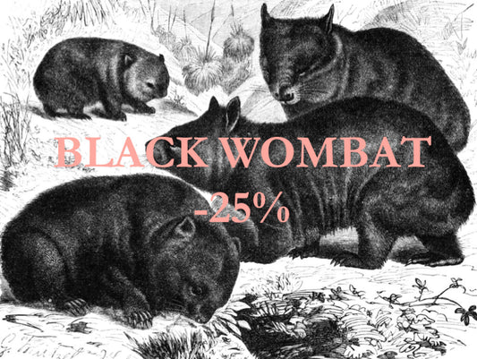 BLACKWOMBAT